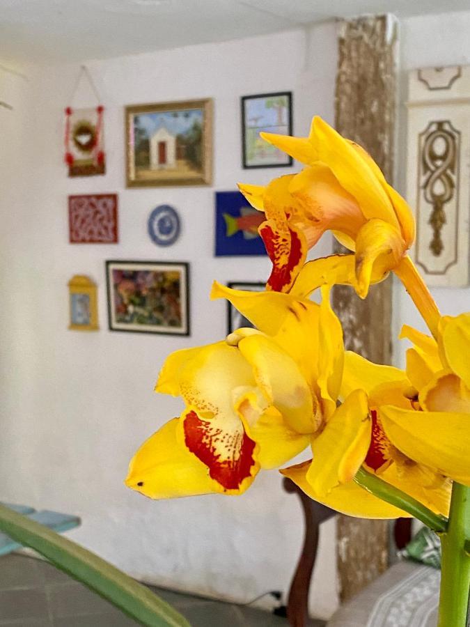 Hostel Dona Generoza Araquari Kültér fotó